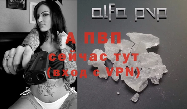 гидра Магас
