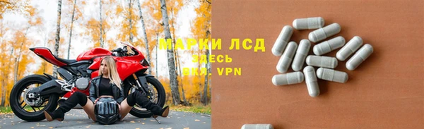 гидра Магас