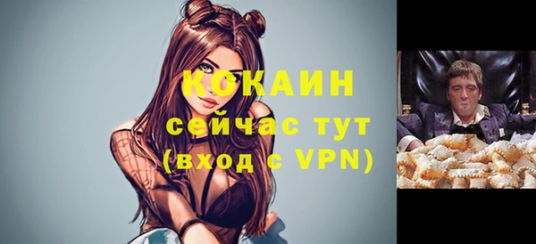 гидра Магас