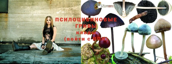 первитин Магадан
