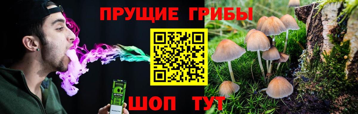купить наркоту  Псилоцибиновые грибы мицелий  Вход с VPN  Батайск 
