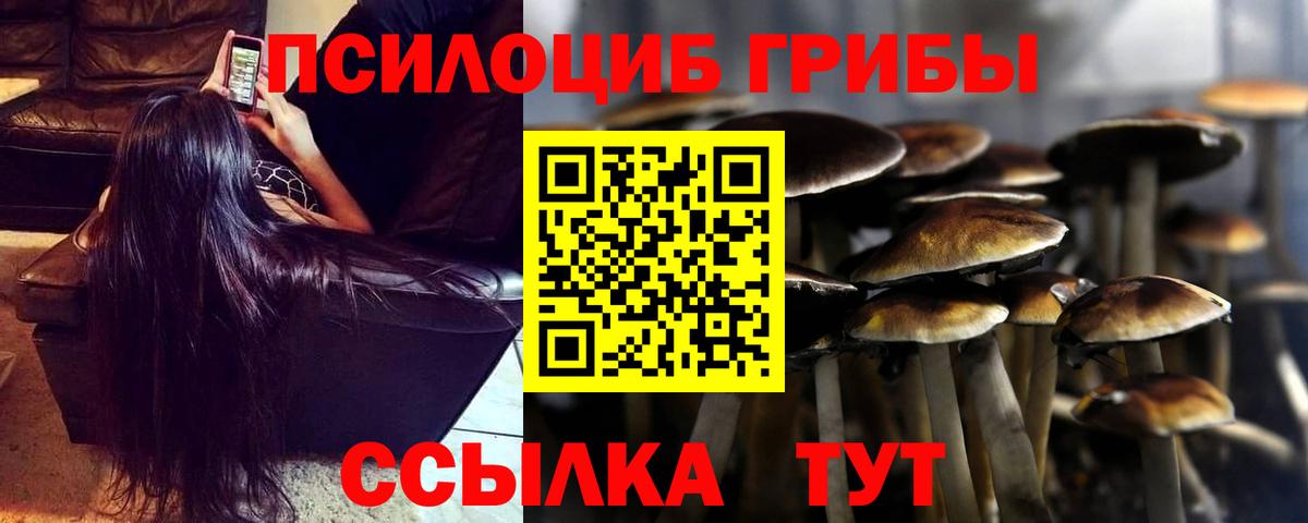 Псилоцибиновые грибы Cubensis  Псилоцибиновые грибы MAGIC MUSHROOMS  Батайск 